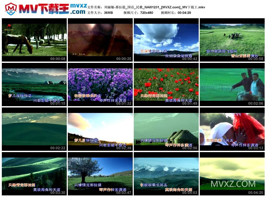 刘丽敏-那拉提_国语_民歌_NAI01231